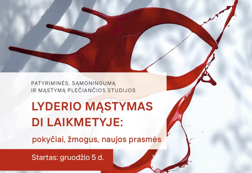 lyderio-mastymas_vidinis_1788419108-76b757df418cfc03639c131e9316b3ab.jpg